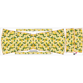 Carmenausschnitt Kleid (LILI) - LEMON wz.2 - Nähset 