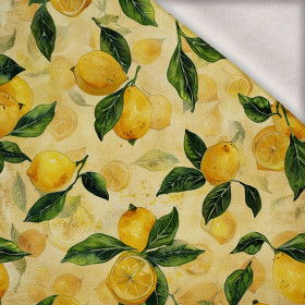 LEMON wz.2 - Wintersweat angeraut mit Elastan ITY