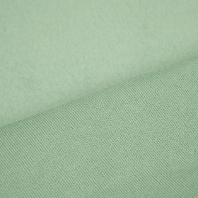 D-45 Modern Mint - Wintersweat angeraut D300