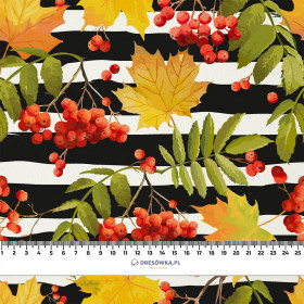 VOGELBEEREN  - Hydrophober angerauter Wintersweat