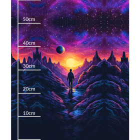 NEON GALAXY WZ.5 - Paneel (60cm x 50cm) Sommersweat mit Elastan ITY
