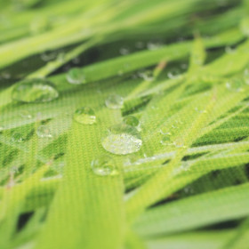 GRÜNES GRAS - Wasserabweisende Webware