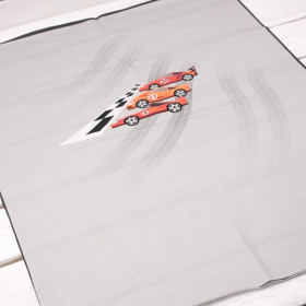 SCHNELLE SCHLITTEN / rot - Paneel Sommersweat 