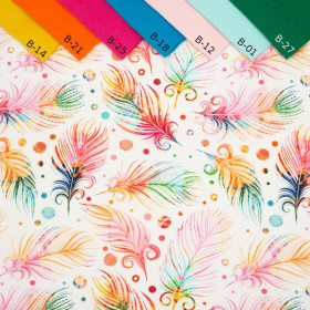 REGENBOGEN FEDERN - bio single jerset mit Elastan TE210 Sommersweat