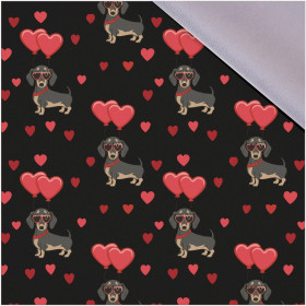 VALENTINE'S DAY 10 - Softshell 