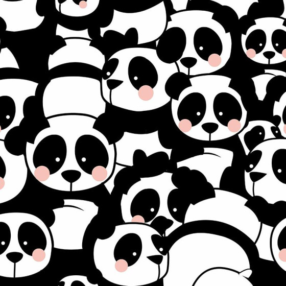 PANDAS / rosa 