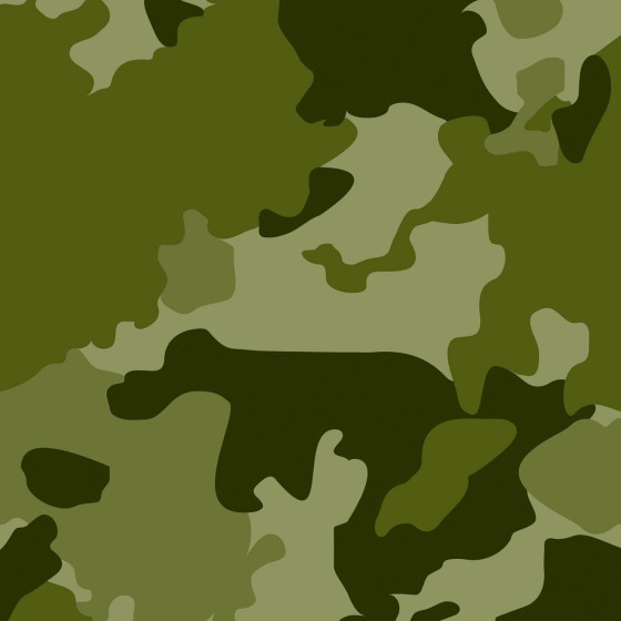 CAMOUFLAGE M. 3 / olive