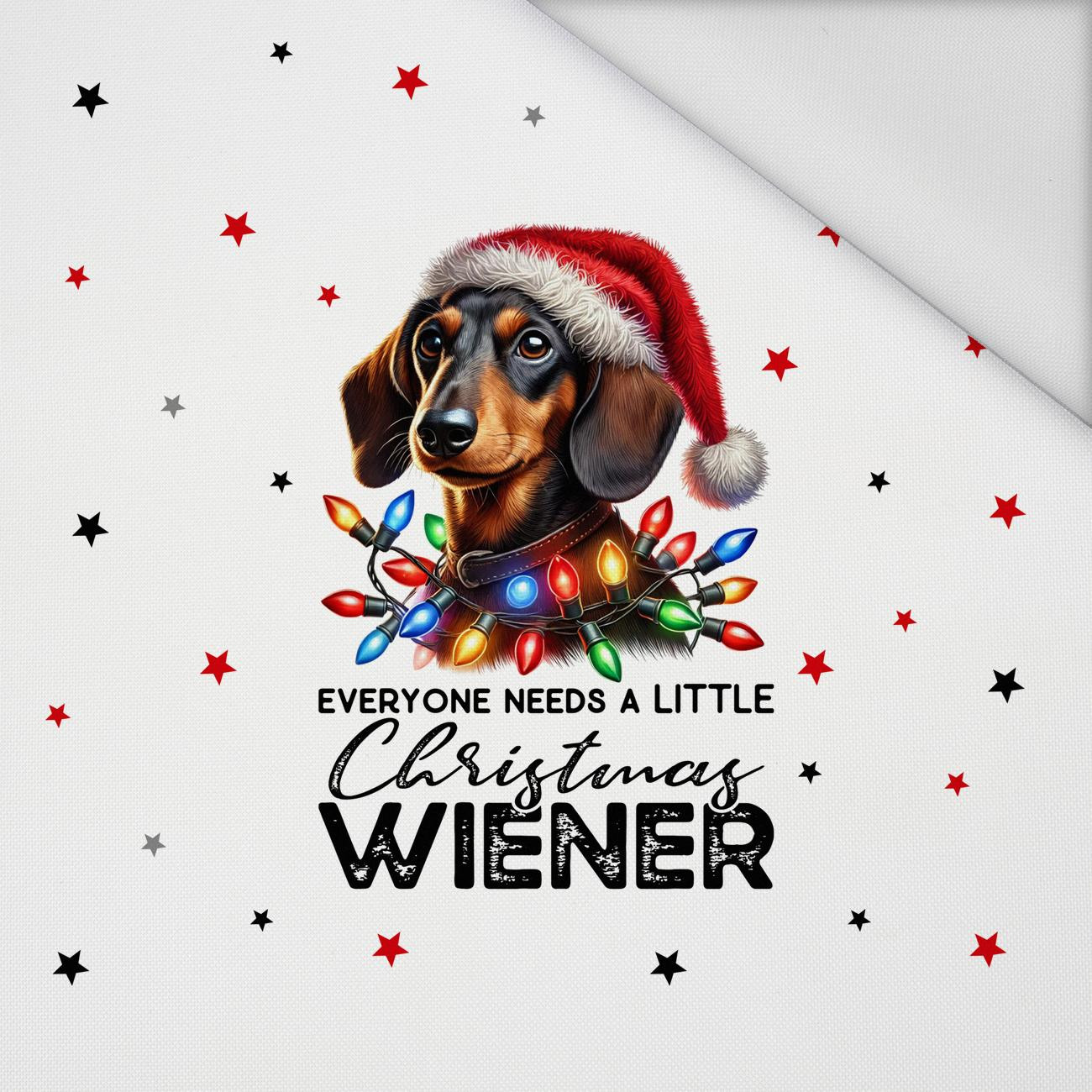 CHRISTMAS DOG VZ. 4 - panel (60cm x 50cm) Voděodolná tkanina Oxford