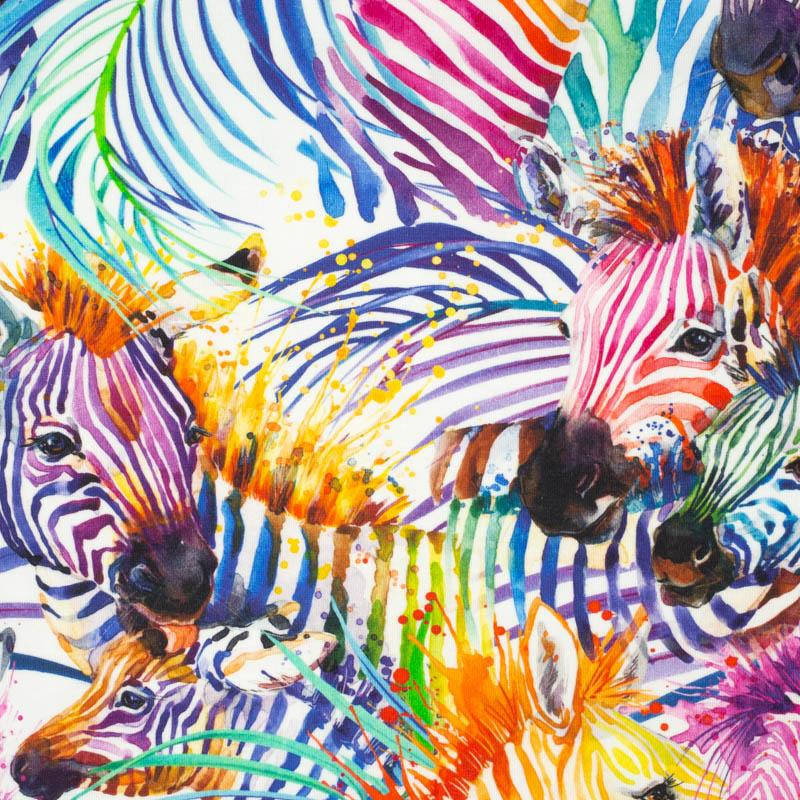 ZEBRY (duhový) / bílý - organický úplet single jersey s elastanem