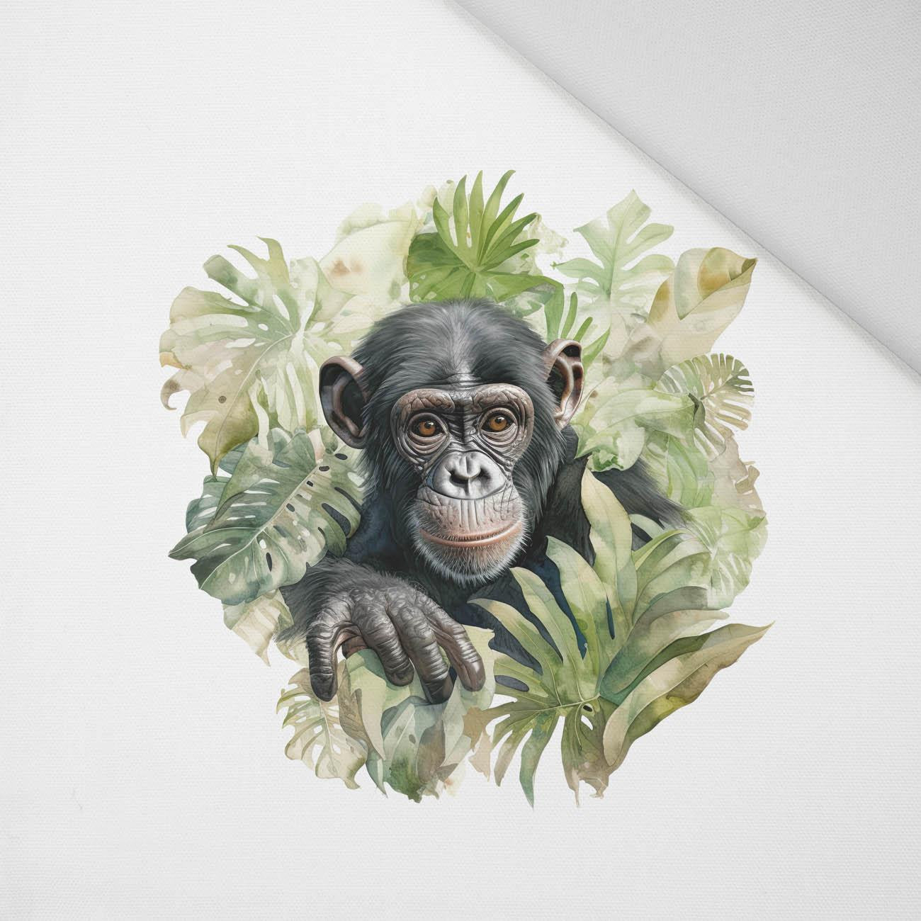 WATERCOLOR MONKEY - Paneel (60cm x 50cm) Panama 220g