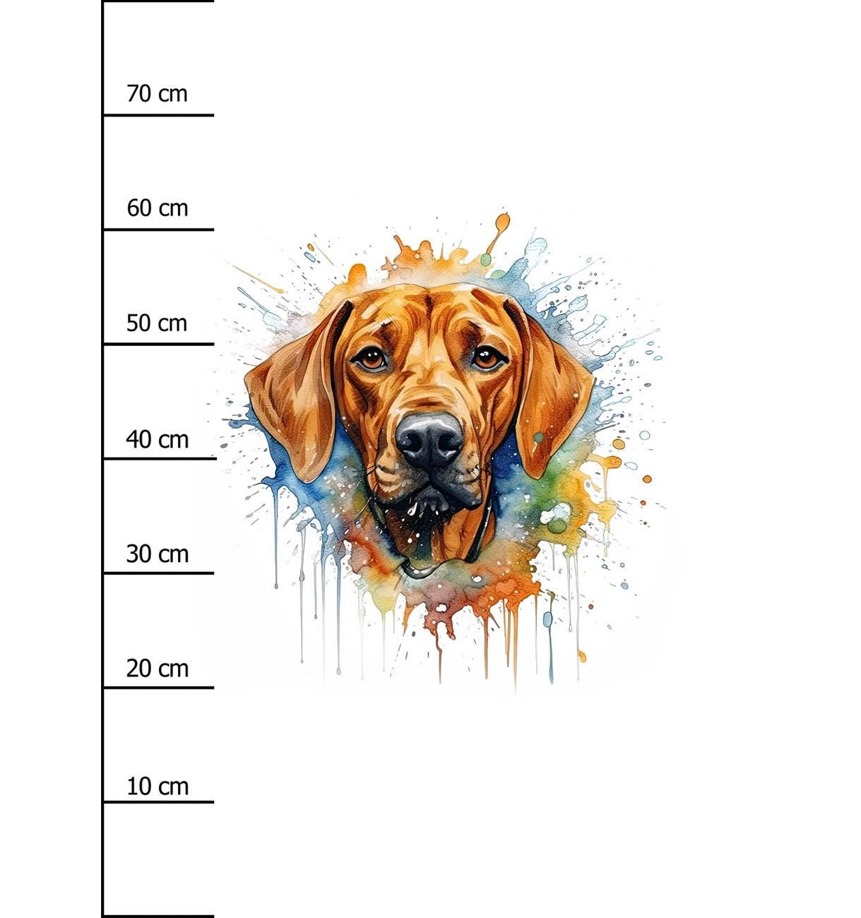 WATERCOLOR RIDGIE - Panel (75cm x 80cm) lycra 300g