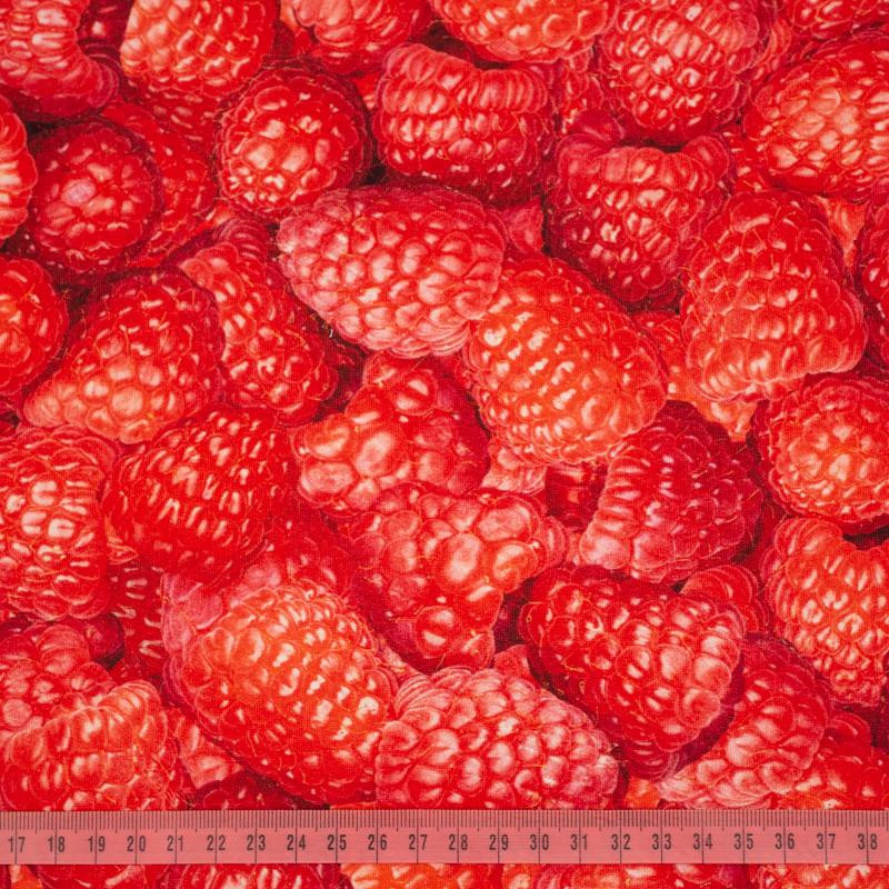 MALINY - dresówka pętelkowa SP250