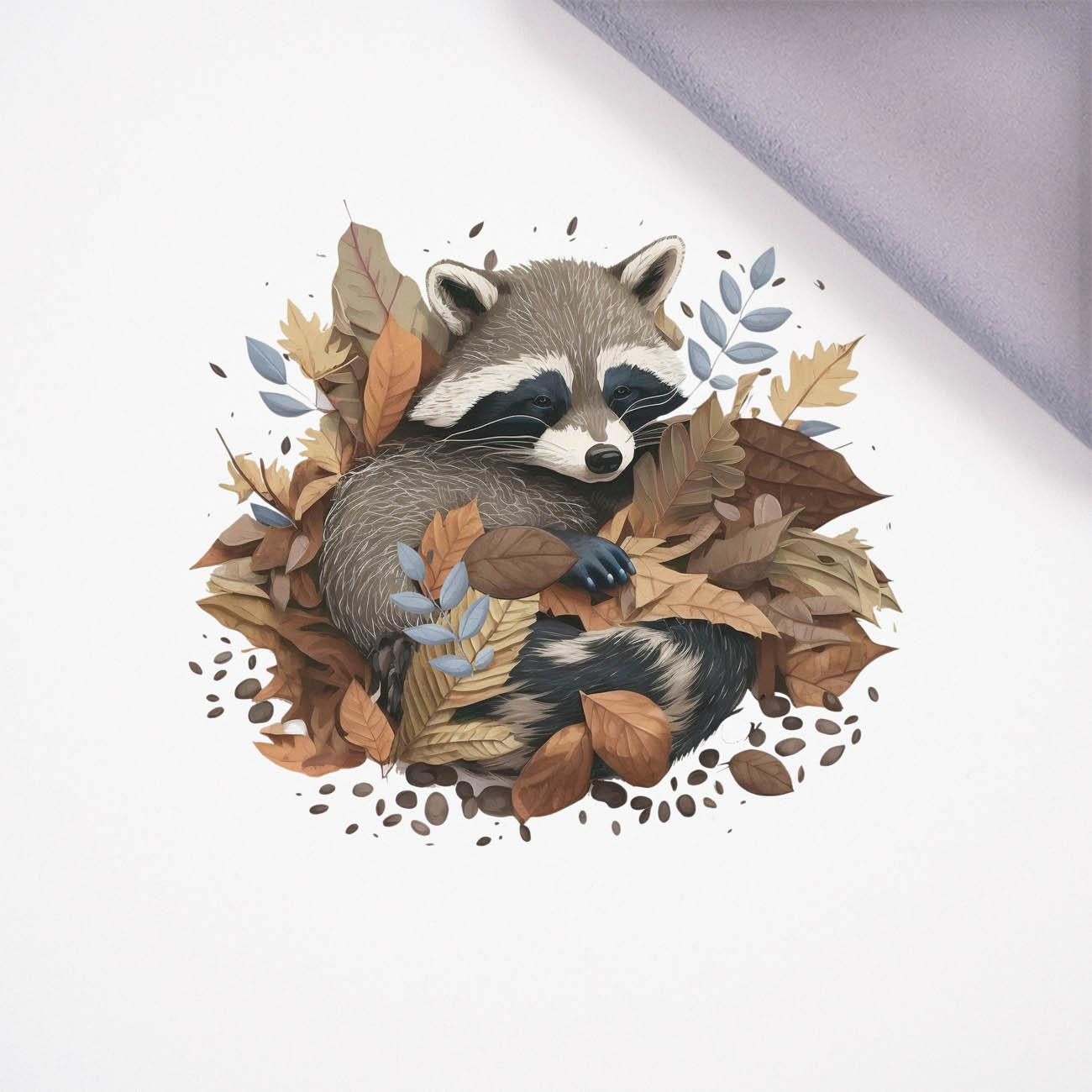 SLEEPING RACCOON - panel, softshell (60cm x 50cm)