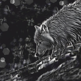 Arktický vlk - panel (75cm x 80cm)