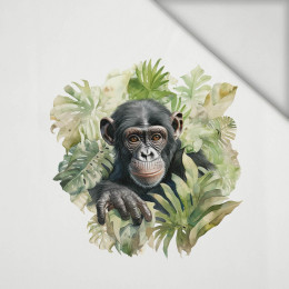 WATERCOLOR MONKEY - Panel (60cm x 50cm) lycra 300g