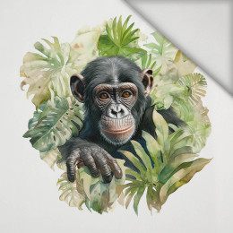 WATERCOLOR MONKEY - Panel (75cm x 80cm) lycra 300g