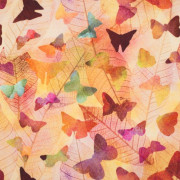 BAREVNÉ MOTÝLY - softshell