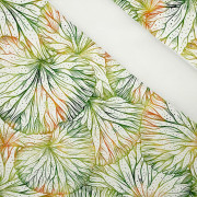 LISTY LEKNÍNŮ- softshell