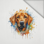 WATERCOLOR RIDGIE - Panel (60cm x 50cm) lycra 300g