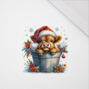Christmas animal wz. 2 - panel (60cm x 50cm) SINGLE JERSEY