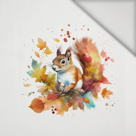 WATERCOLOR SQUIRREL - Panel (60cm x 50cm) lycra 300g