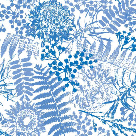 MODRÉ KAPRADÍ (CLASSIC BLUE)  
