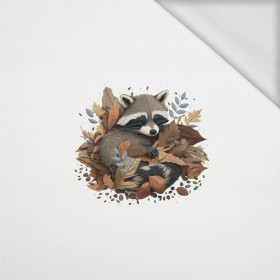 SLEEPING RACCOON - Paneel (40cm x 40cm) organická  teplákovina