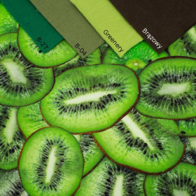 KIWI - dresówka pętelkowa SP250