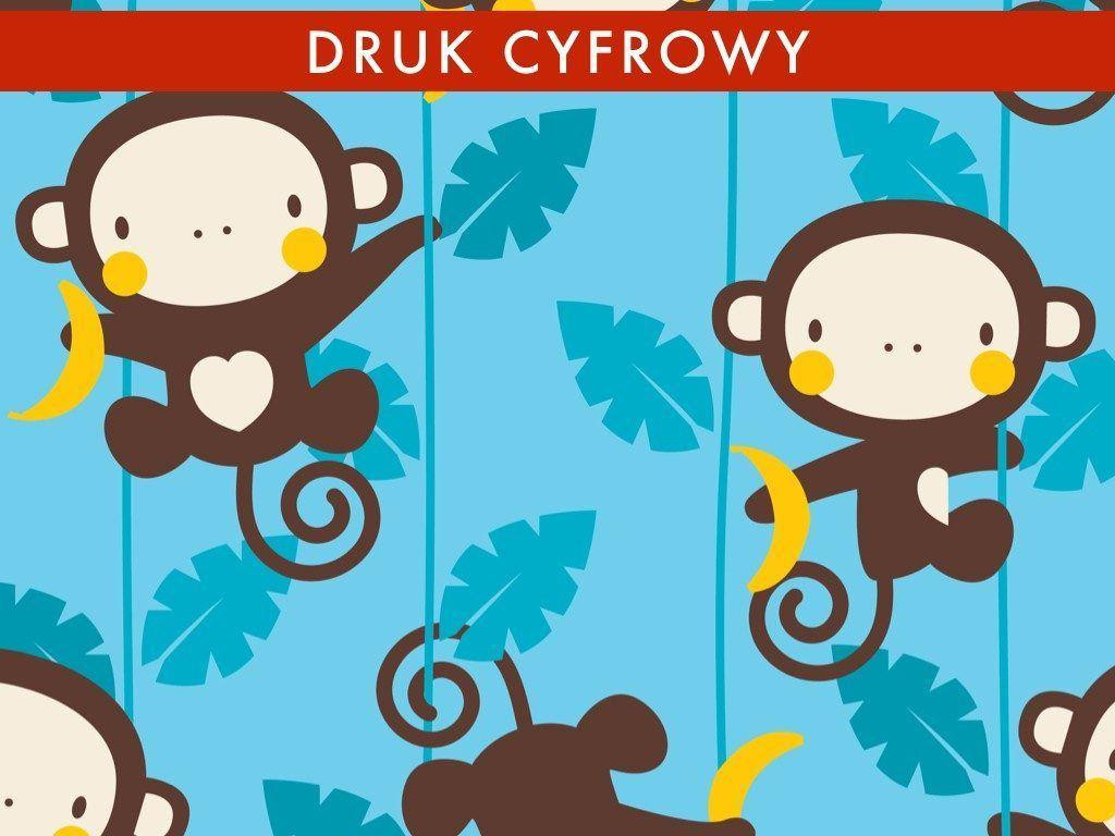 MAŁPI GAJ / turkus - dresówka pętelkowa 