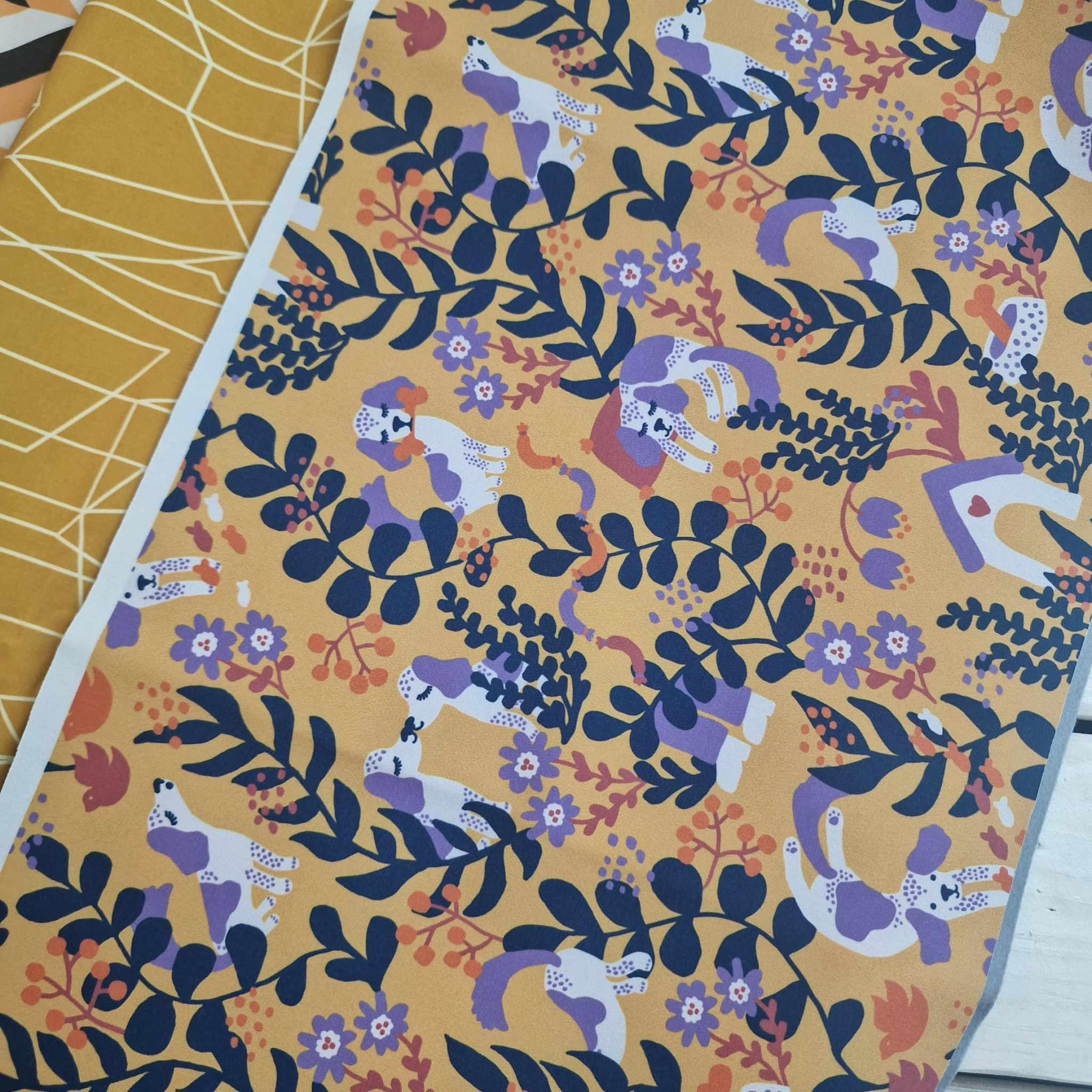 PAKIET - SOFTSHELL 44