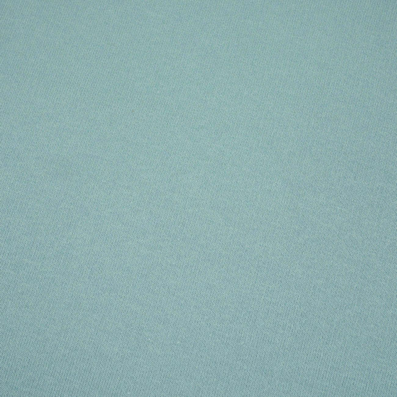 D-46 DUCK EGG BLUE - gruba dresówka drapana D300