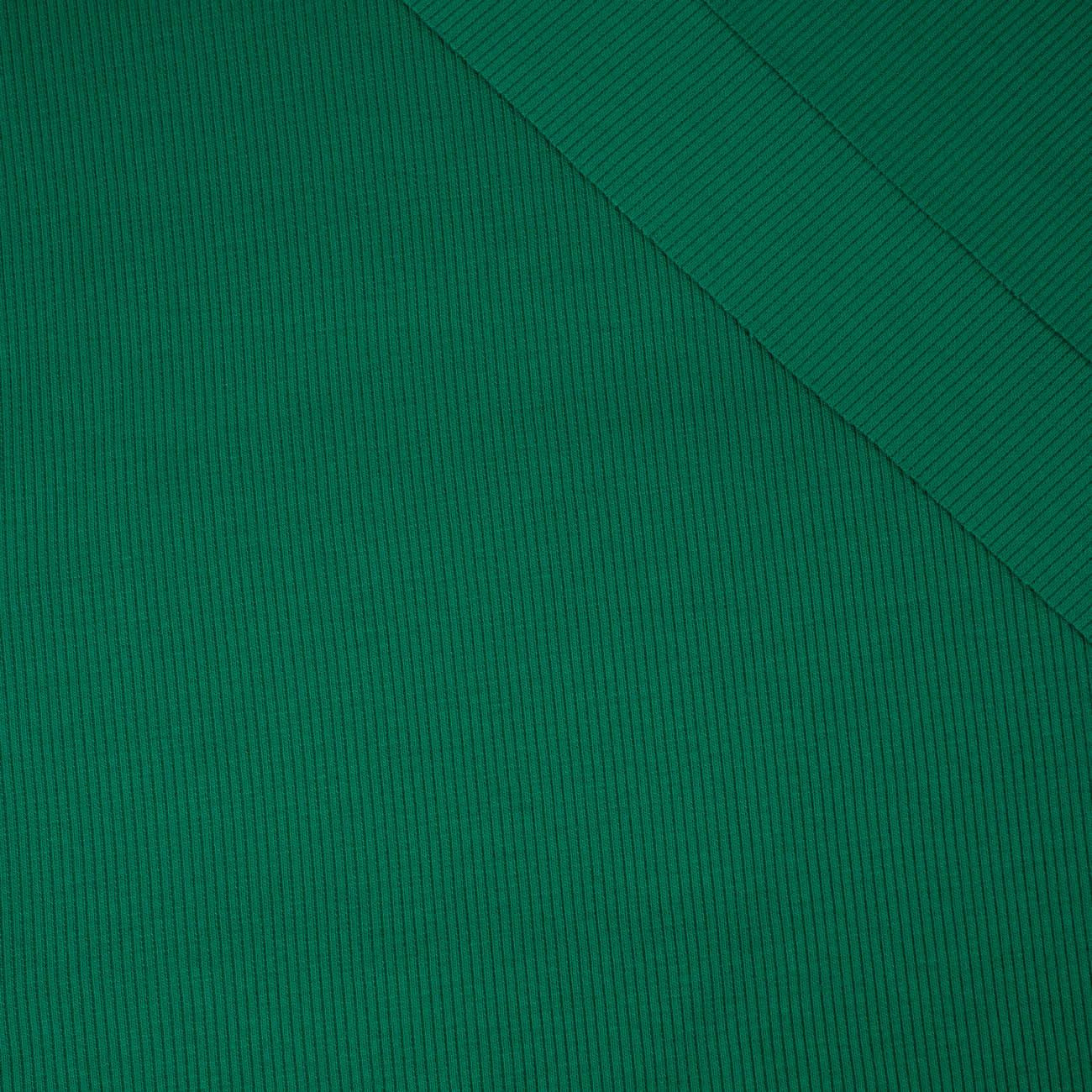 Dzianina prążkowana (ściągaczowa) - LUSH MEADOW (D-82)