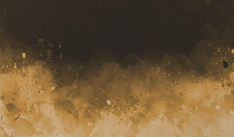 KLEKSY (złoty) / czarny - panel, softshell