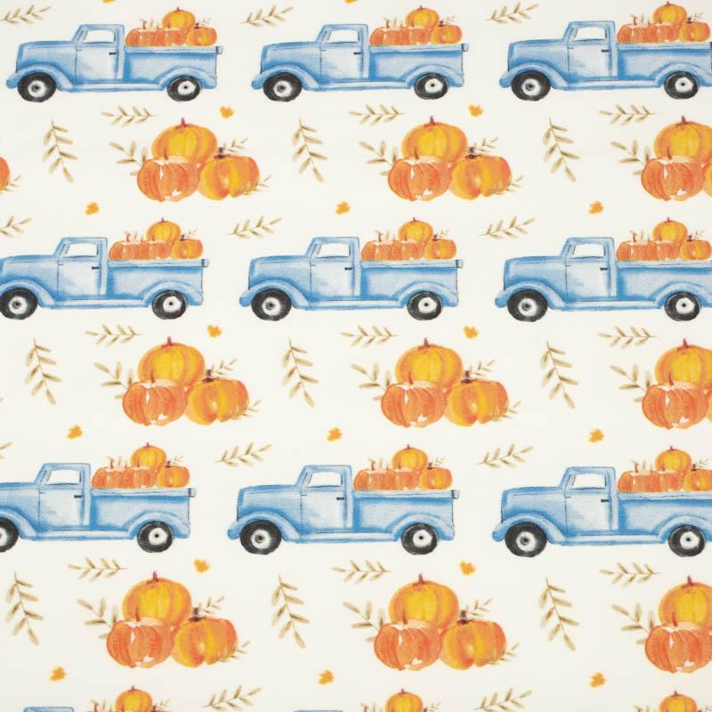 DYNIE NA WOZIE / LIŚCIE (DYNIOWY OGRÓDEK)  - dresówka pętelkowa