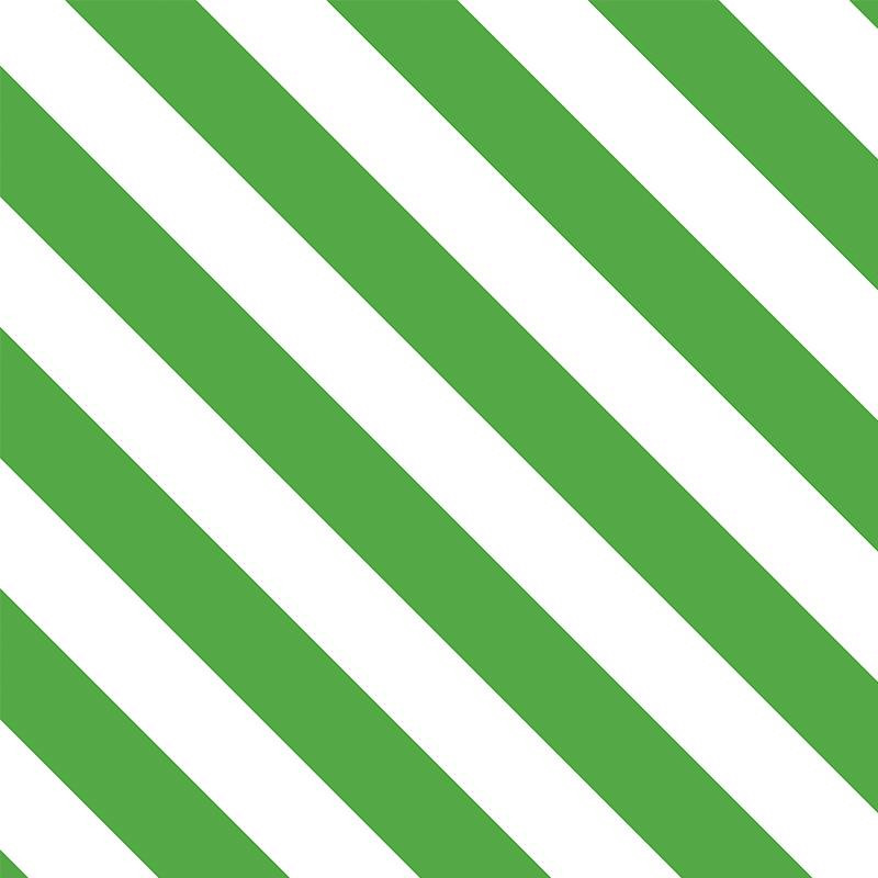 SKOŚNE PASY / zielony ( GREEN )