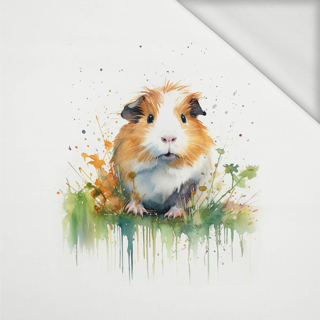 WATERCOLOR GUINEA PIG - panel (75cm x 80cm) dzianina pętelkowa