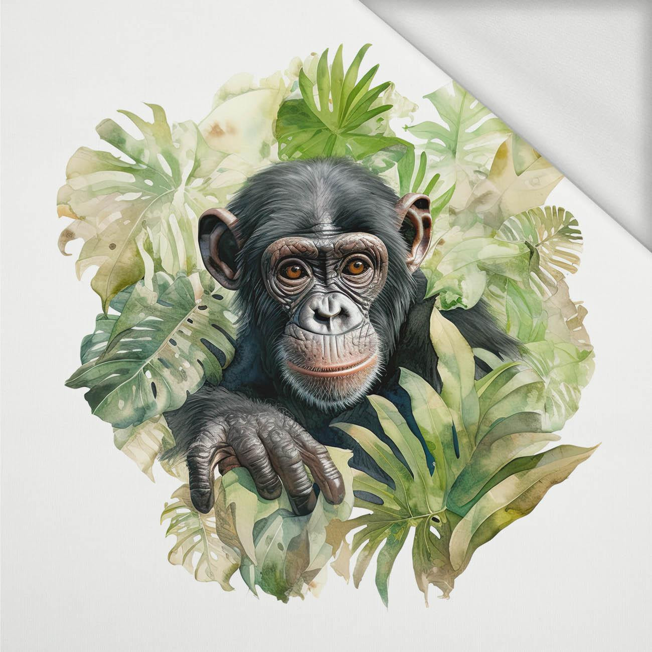 WATERCOLOR MONKEY - panel (75cm x 80cm) dzianina pętelkowa