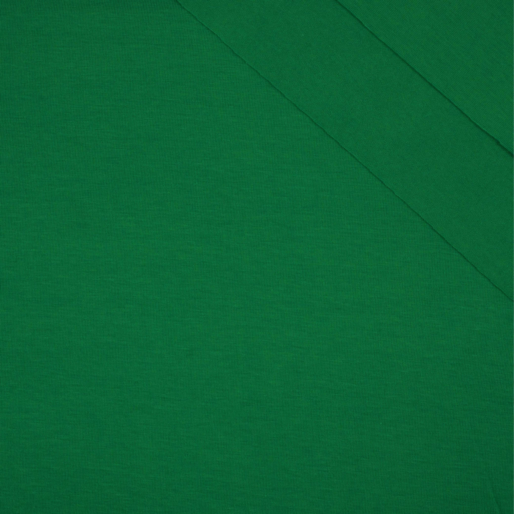 Dzianina t-shirt z elastanem TE210 - FOREST GREEN (D-011) 