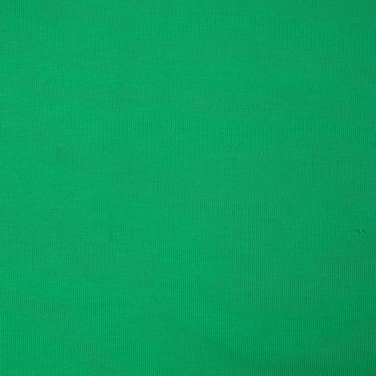 D-101 ZIELONY ( GREEN ) - gruba dzianina pętelkowa 290g
