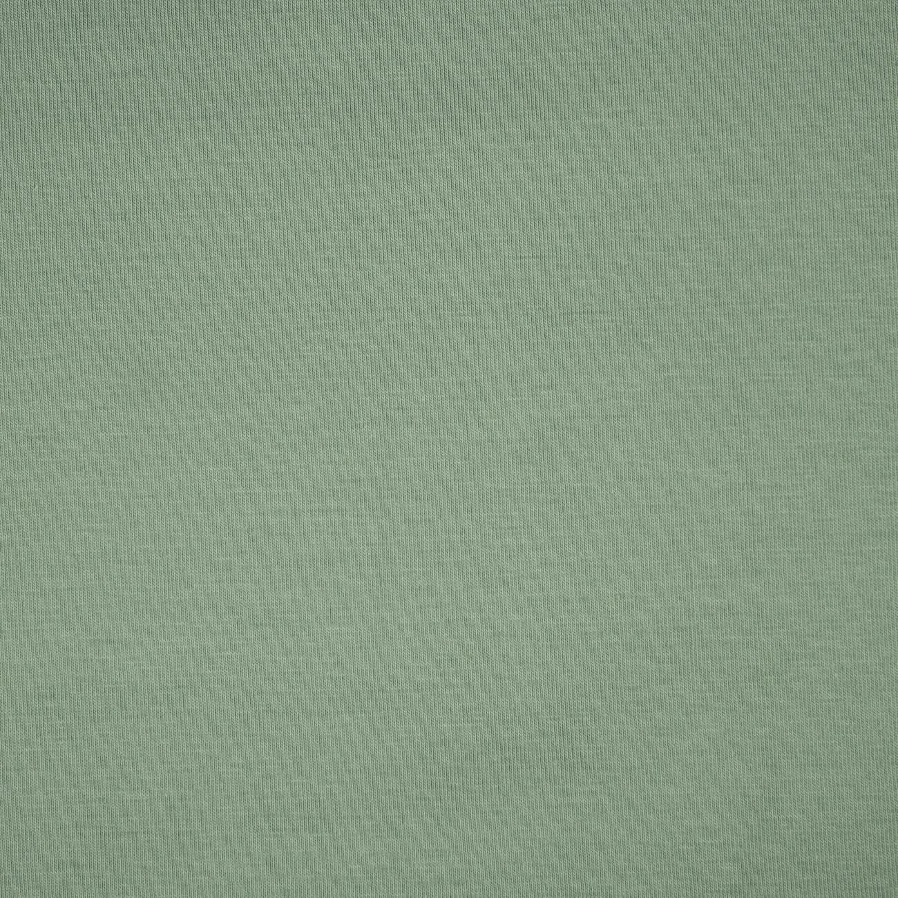 D-45 BRUDNA MIĘTA - dzianina t-shirt z elastanem TE210