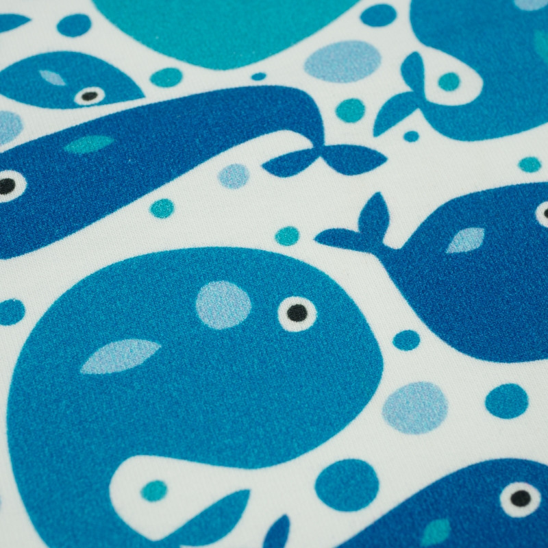 WIELORYBY - dresówka pętelkowa 