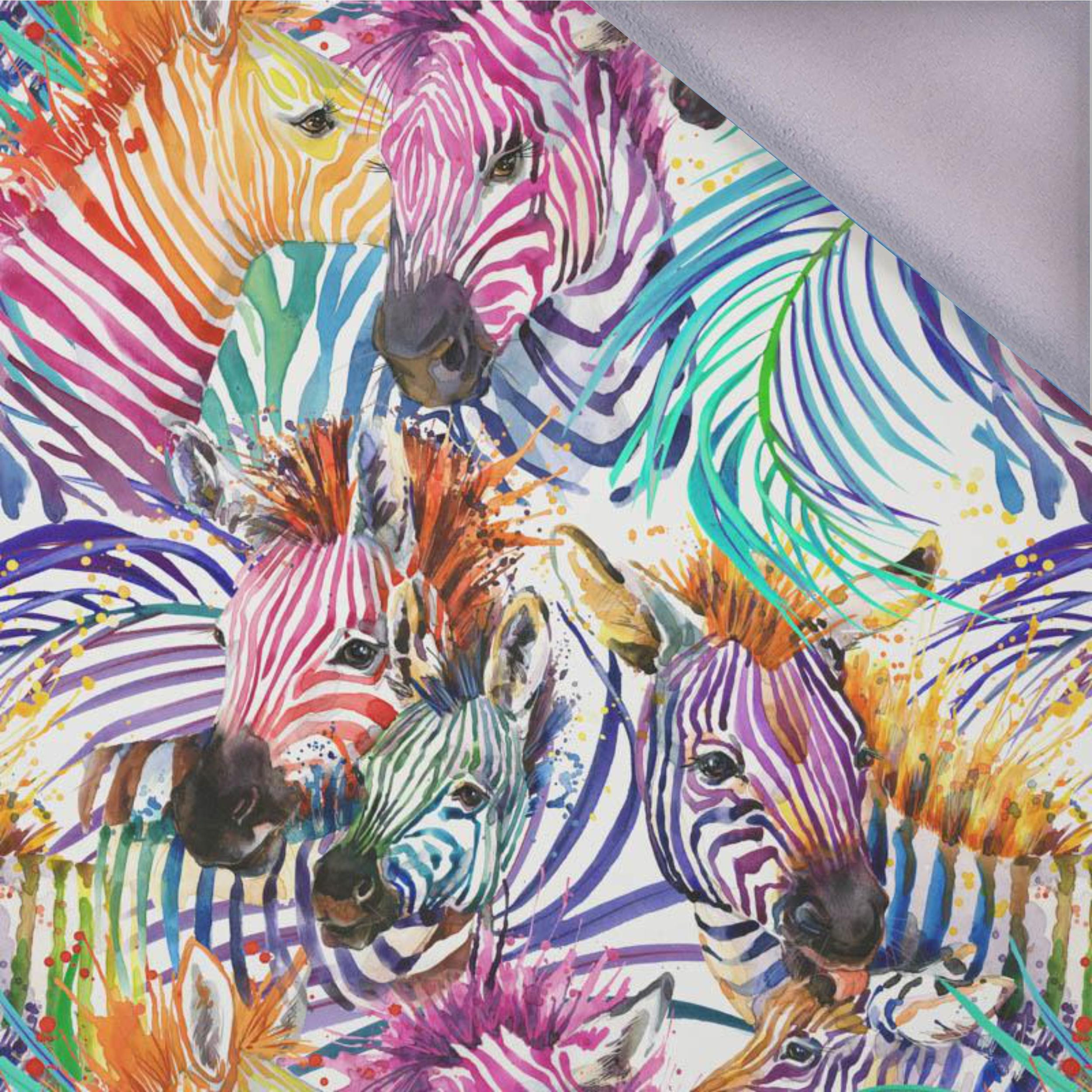 ZEBRY (tęczowy) / biały - softshell