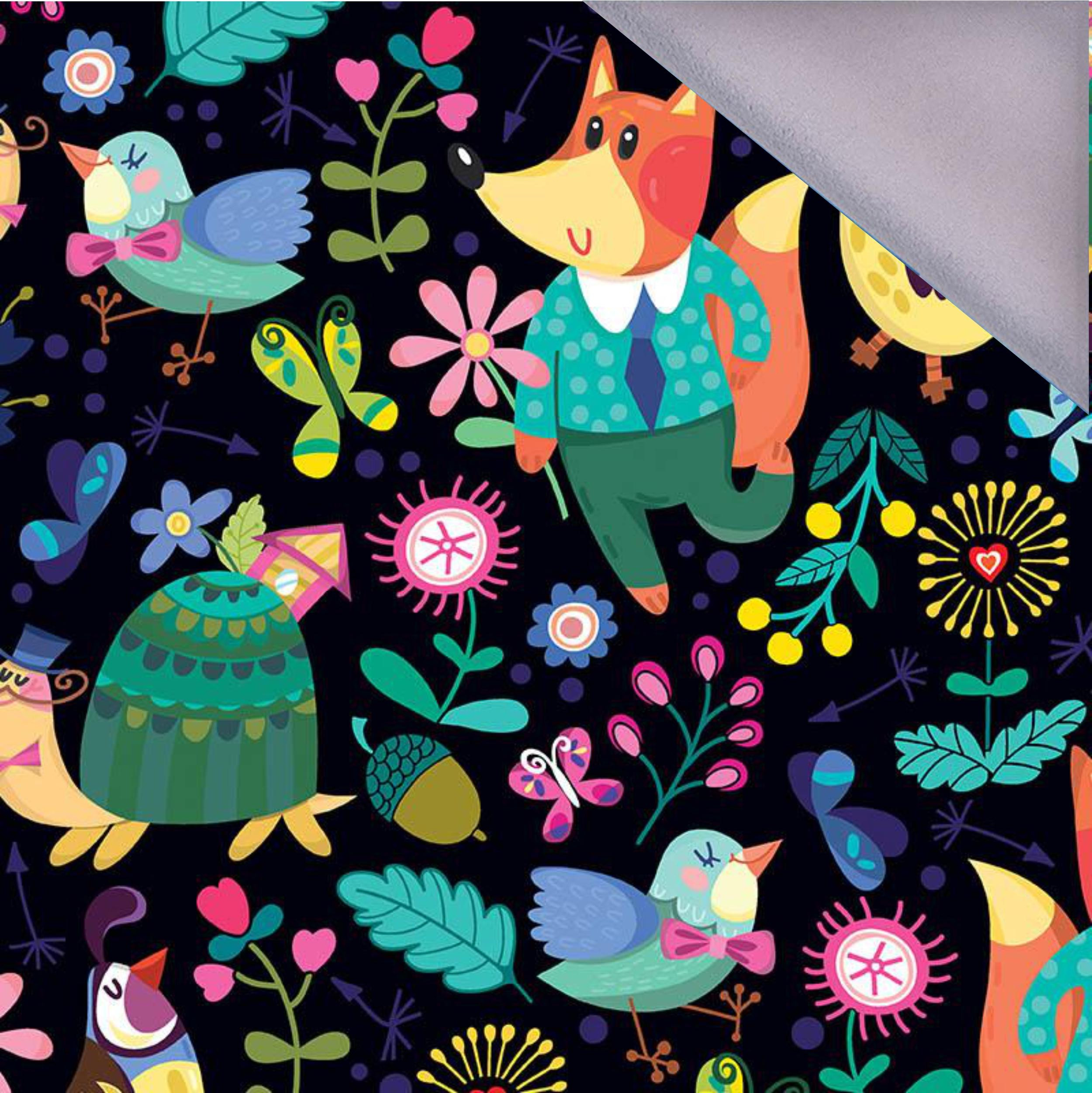 KOLOROWY BAL - softshell