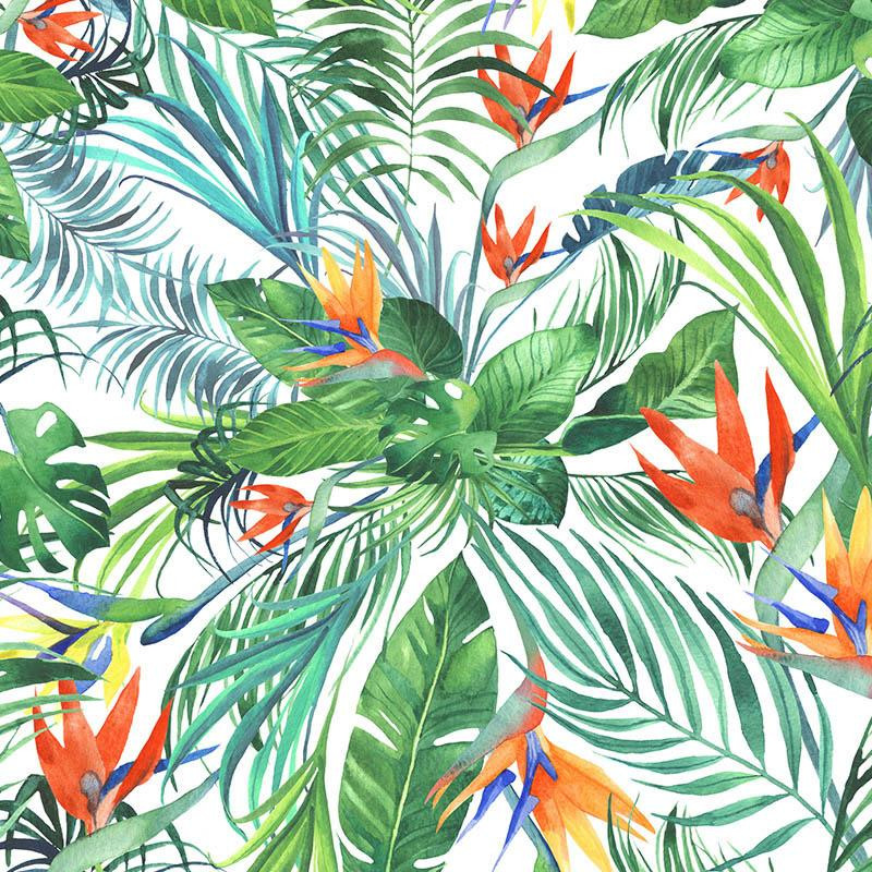 RAJSKA DŻUNGLA / WILD JUNGLE (MONSTERA)/ biały