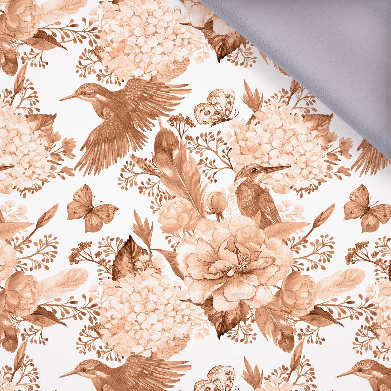 ZIMORODKI I BZY (ZIMORODKI NA ŁĄCE) / peach fuzz - softshell