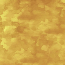 KAMUFLAŻ wz. 2 / musztardowy-YELLOW