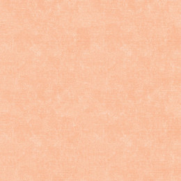 ACID WASH / peach fuzz