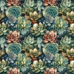 SUCCULENT PLANTS WZ. 8