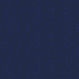 WODNY ŚWIAT (TŁO) / navy