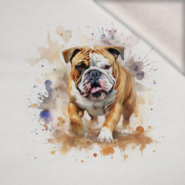 WATERCOLOR BULLDOG - PANEL (75cm x 80cm) dzianina drapana z elastanem ITY